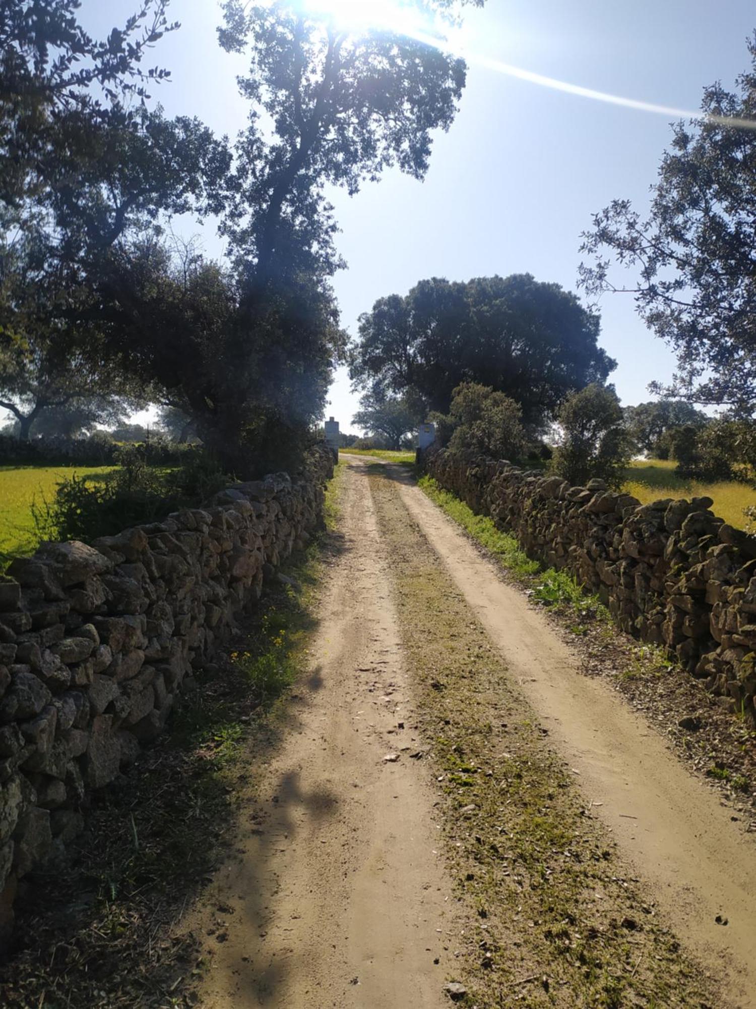 Finca Las Gamitas Almoharin Luaran gambar